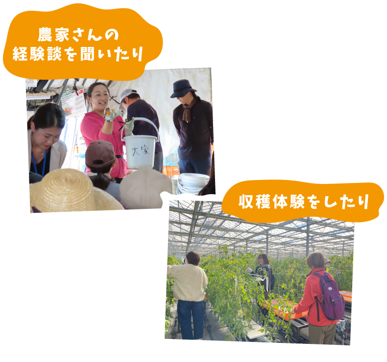 農家さんの経験談を聞いたり、収穫体験をしたり